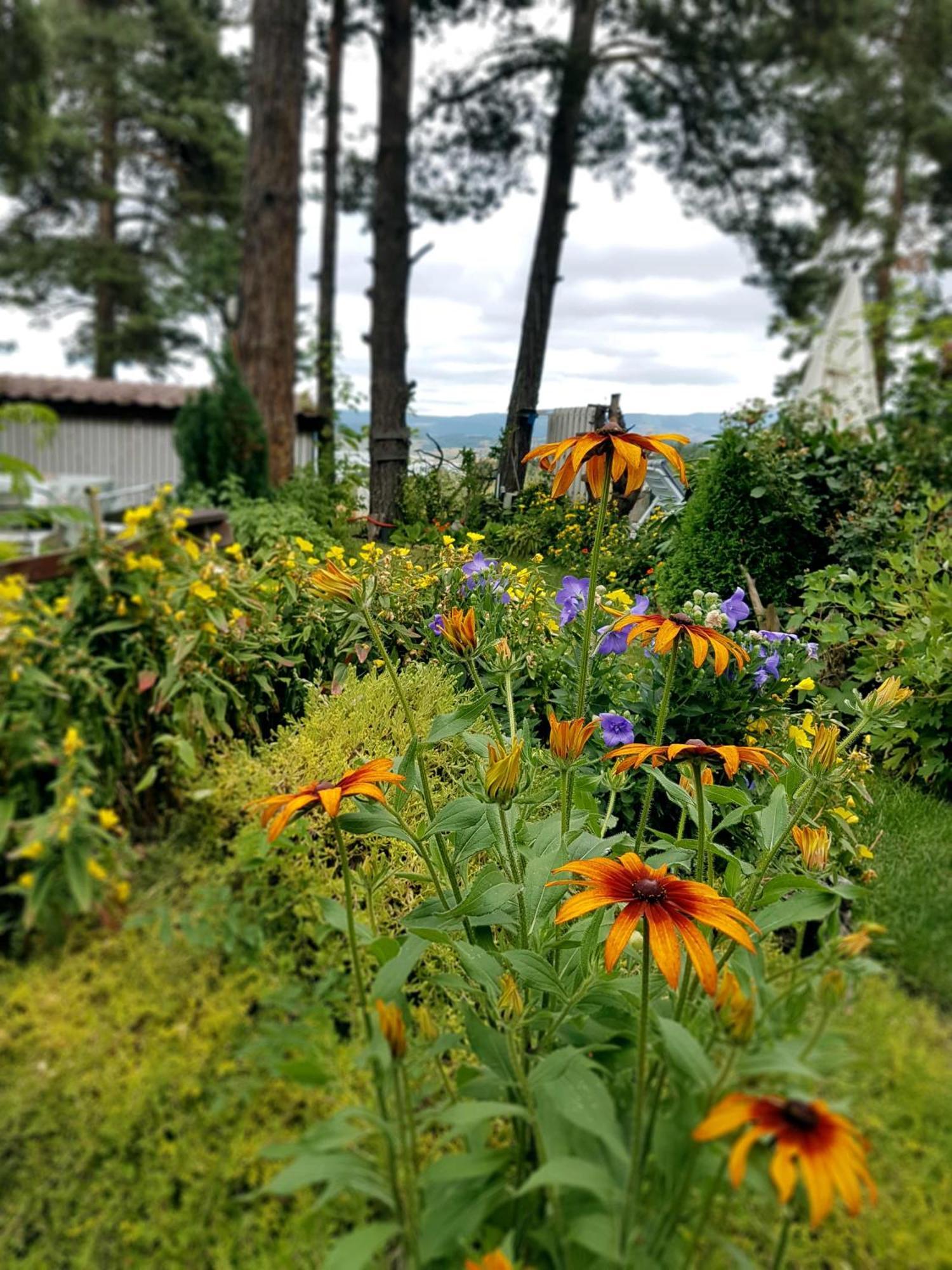 Vila Kalvachevi Tsigov Chark Exteriör bild